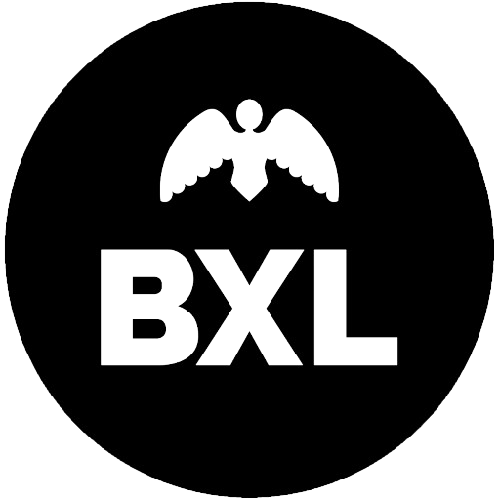 logo_bruxelle-removebg-preview
